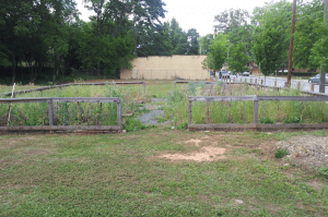 Community Garden at the Start