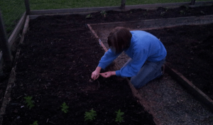 Shannon Planting in the Garden