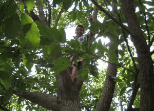 This is the kid I (Shannon) got closest to this year. Javontae spends at least half his time up in trees!